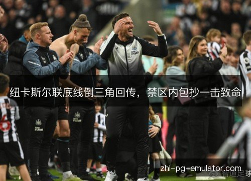 纽卡斯尔联底线倒三角回传,禁区内包抄一击致命 纽卡斯尔联底线倒三角回传,禁区内包抄一击致命